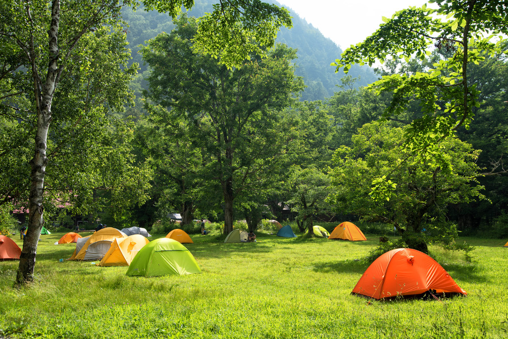 Sustainable Forest Camping
