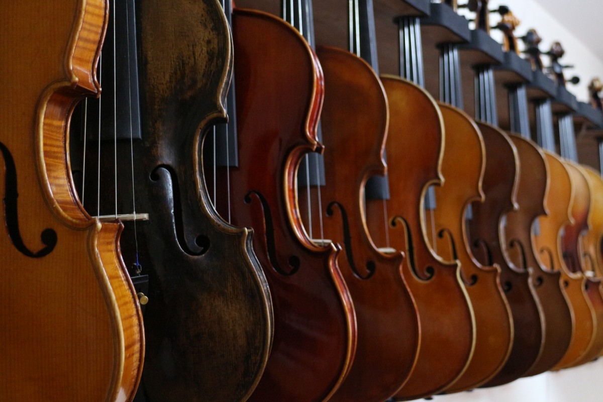 Vintage Rosewood Violins